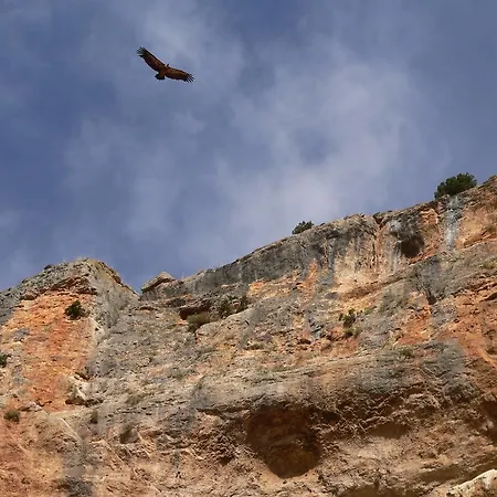 Hotel Balneario Seron