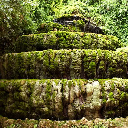 Balneario Seron 2* Jaraba