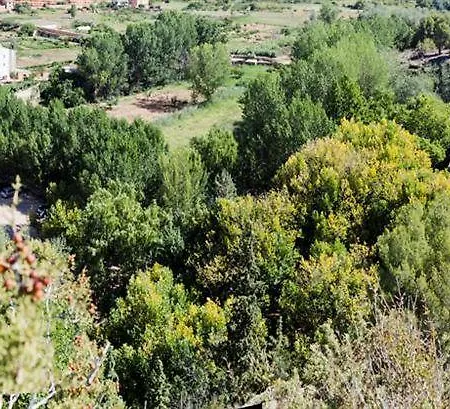 Balneario Seron Hotel Jaraba