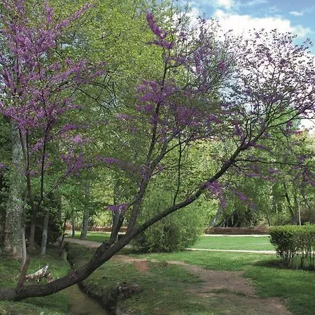 Balneario Seron Hotel Jaraba