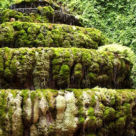 Hotel Balneario Seron