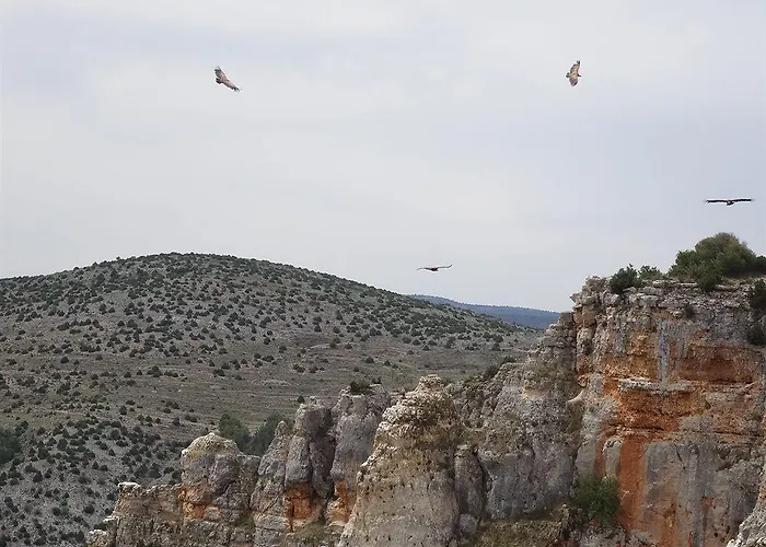 Balneario Seron Jaraba