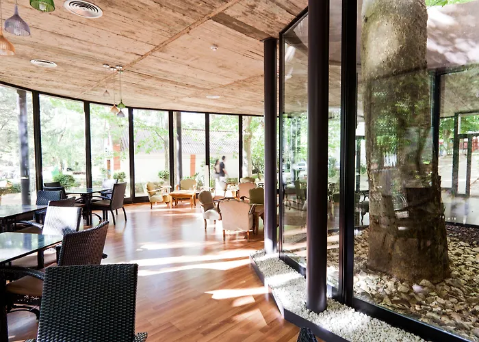 Hotell Balneario Seron