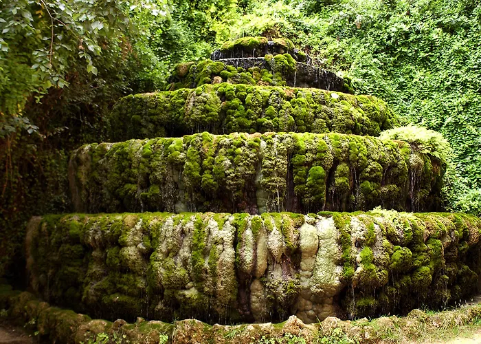 Balneario Seron 2* Jaraba