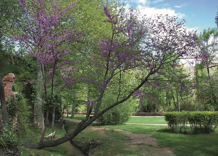 Balneario Seron Hotell Jaraba