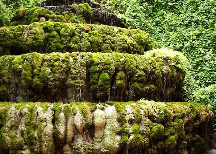 Hotell Balneario Seron